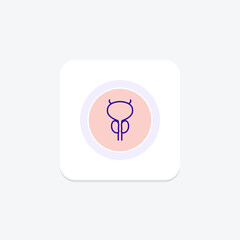 Prostate line icon , vector, pixel perfect, illustrator file
