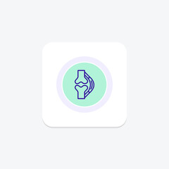 Tendons line icon , vector, pixel perfect, illustrator file