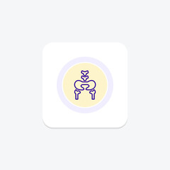 Hip Bones line icon , vector, pixel perfect, illustrator file