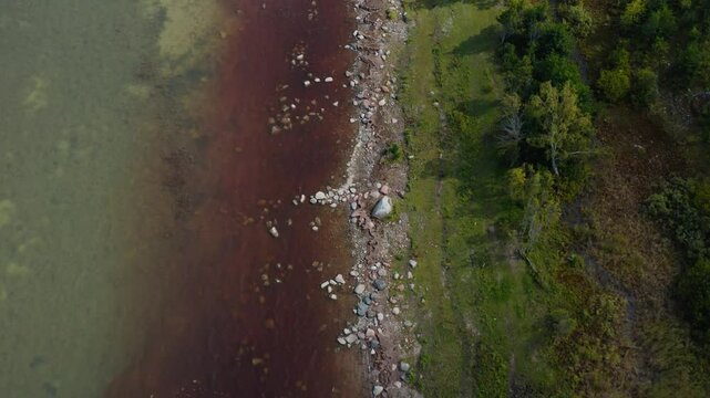 Top down drone shot of sea water near coastline. Ecology. Pollution. Texture.