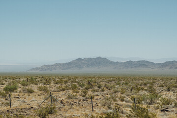 Mojave Desert