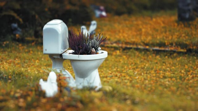 An old toilet bowl creatively used as a flower pot stands in the autumn garden. Parallax shot, bokeh background.