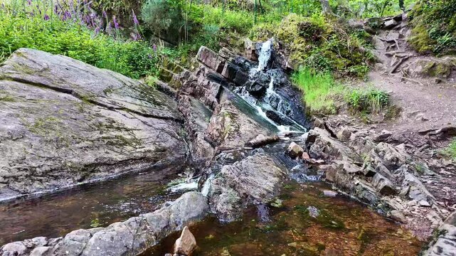 Upward movement about the Val Sans Retour park landscape with little waterfall, Tr&eacute;horenteuc, France.