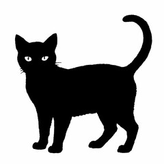 cat silhouette black vector SVG