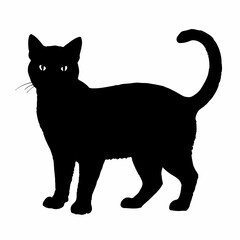 cat silhouette black vector SVG