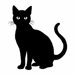 cat silhouette black vector SVG
