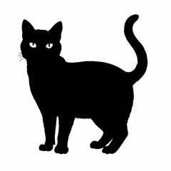 cat silhouette black vector SVG