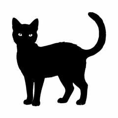 cat silhouette black vector SVG