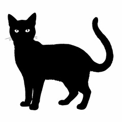 cat silhouette black vector SVG