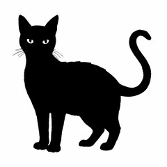 cat silhouette black vector SVG