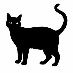 cat silhouette black vector SVG