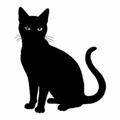 cat silhouette black vector SVG