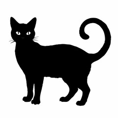 cat silhouette black vector SVG