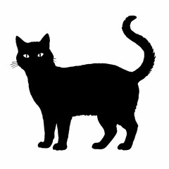 cat silhouette black vector SVG