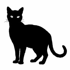 cat silhouette black vector SVG