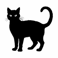 cat silhouette black vector SVG