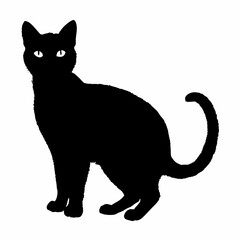 cat silhouette black vector SVG