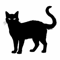 cat silhouette black vector SVG
