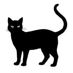 cat silhouette black vector SVG