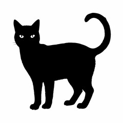 cat silhouette black vector SVG