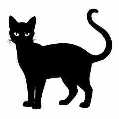 cat silhouette black vector SVG