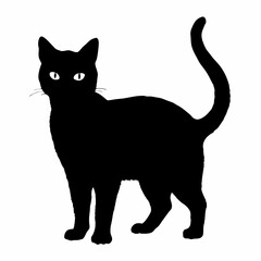 cat silhouette black vector SVG