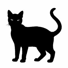 cat silhouette black vector SVG