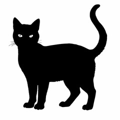 cat silhouette black vector SVG