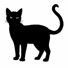 cat silhouette black vector SVG