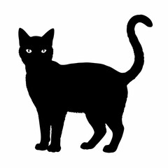 cat silhouette black vector SVG