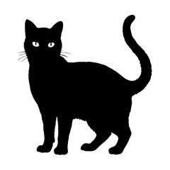 cat silhouette black vector SVG
