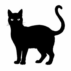 cat silhouette black vector SVG