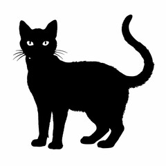 cat silhouette black vector SVG