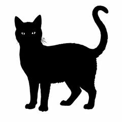 cat silhouette black vector SVG