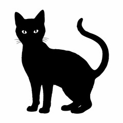 cat silhouette black vector SVG