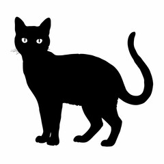 cat silhouette black vector SVG