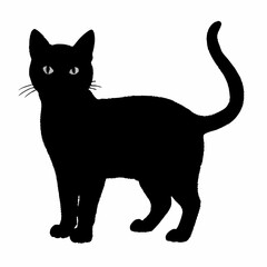 cat silhouette black vector SVG
