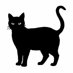 cat silhouette black vector SVG