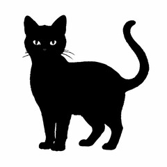 cat silhouette black vector SVG