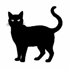cat silhouette black vector SVG