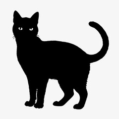 cat silhouette black vector SVG