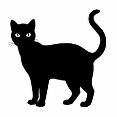 cat silhouette black vector SVG