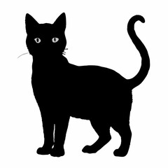 cat silhouette black vector SVG