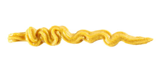 Yellow mustard wavy line, spread isolated on white background, top view