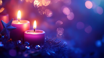 Enchanting Magical Forest with Christmas Trees and Lights