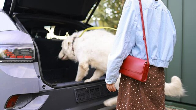 A large white dog jumps into the trunk of an electric car as a woman prepares to set off on a journey. The scene captures the bond between a pet and woman