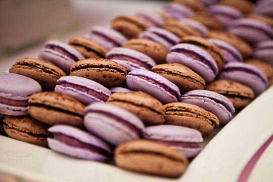 Box of Macarons