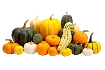 Collection of various pumpkins, isolated on white background.
