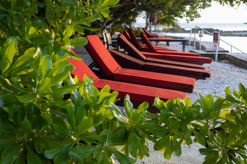 Red sun beds by the sea on an exotic tropical island in the warm southern sun and surrounded by...