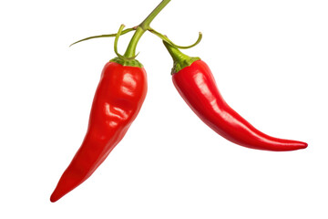 vibrant red chili pepper hanging from its branch, showcasing isolated on white background